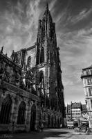 DSC_2722nbw